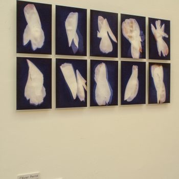 Exposition Centre d'art Albert Chanot Clamart 2010
10 18x24 cm photogrammes de la série Quelques traces de toi © Olivier Perrot