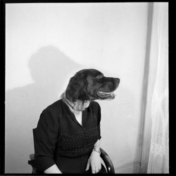 Photomontage de la série "une vie de chien" ©Les archives du futur