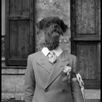 Photomontage de la série "une vie de chien" ©Les archives du futur Olivier Perrot